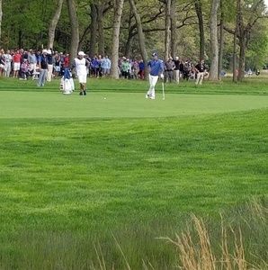 Meet your Posher, Steve